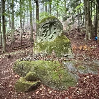 達磨石（三ッ峠山・本社ヶ丸・鶴ヶ鳥屋山 / 山梨） / アクセス・地図