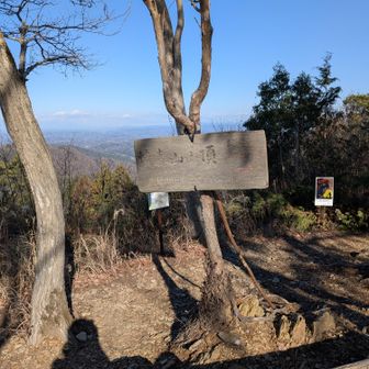 焼森山さんちよ。
ここで、本日の目的のランチタイム。