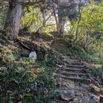 メインルートの薬師尾根コースは終始ずーっと急登の連続💦
先日登った祝瓶山の険しい急登が思い起こされます。