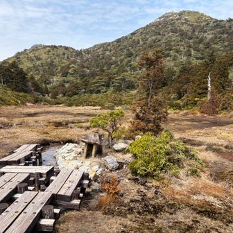 お花の時期も見てみたかったな。