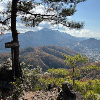 紅葉綺麗、東広島バイパス、瀬野の町が見えます。