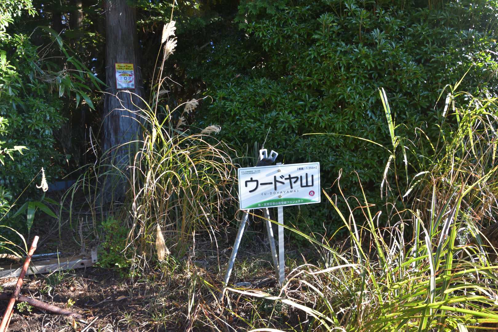 ウードヤ山山頂