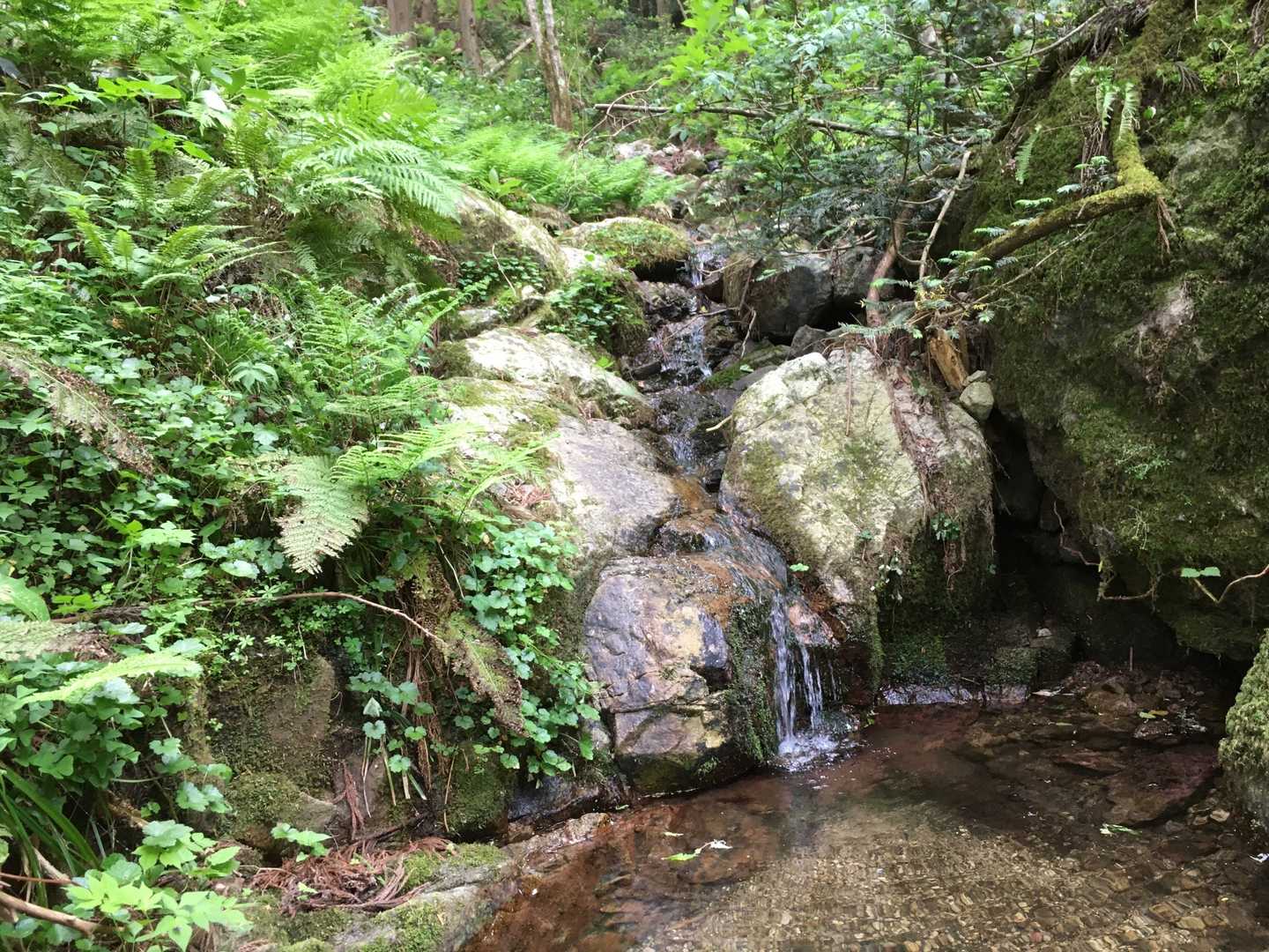 お水は少し🤏