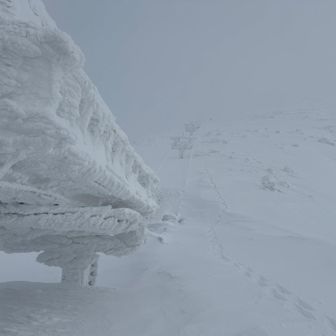 リフト下を直登します