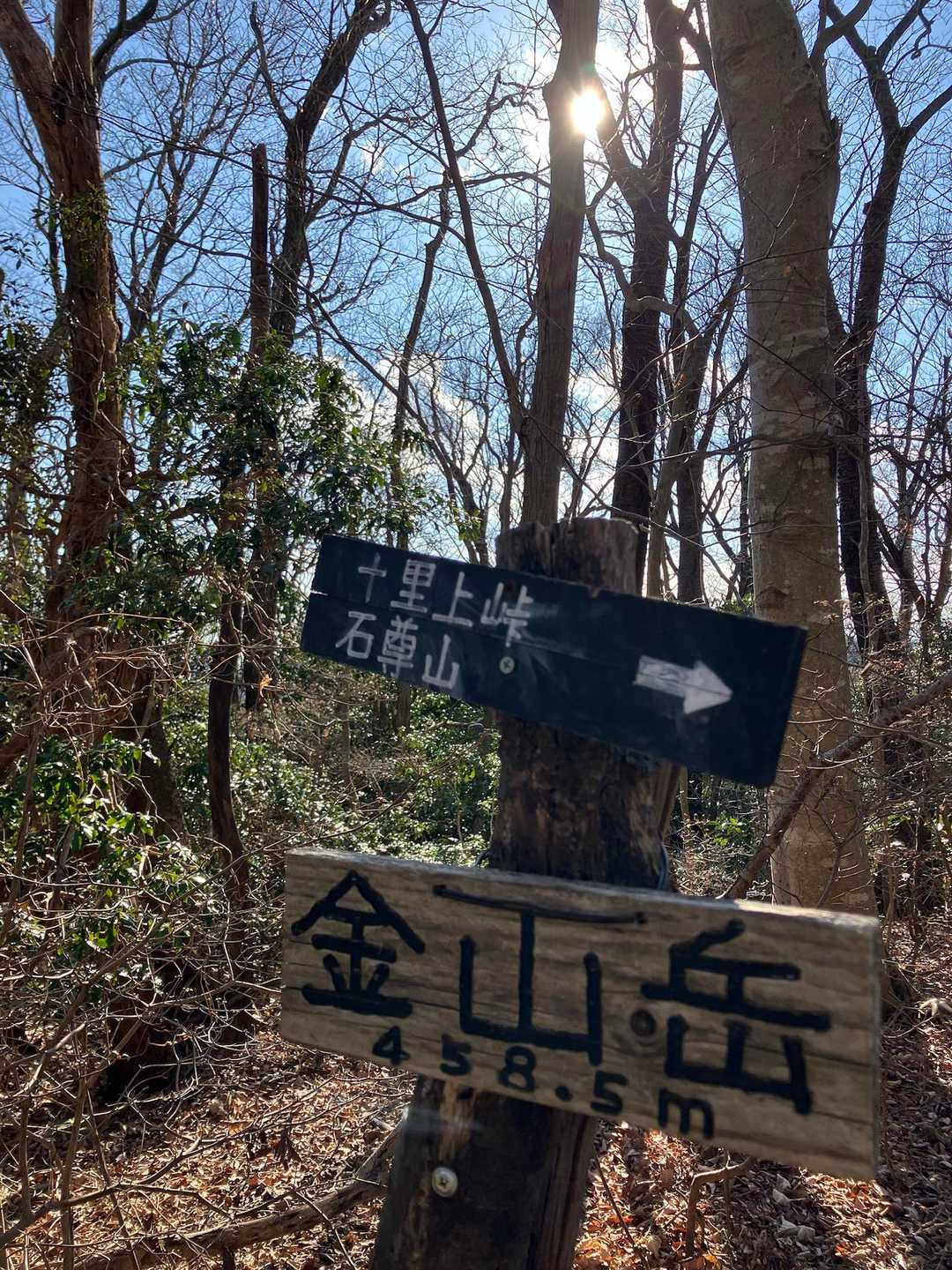 はじめまして金山岳