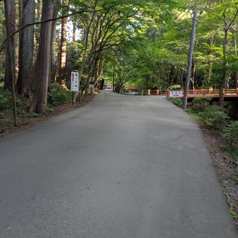 神社境内から歩き始める