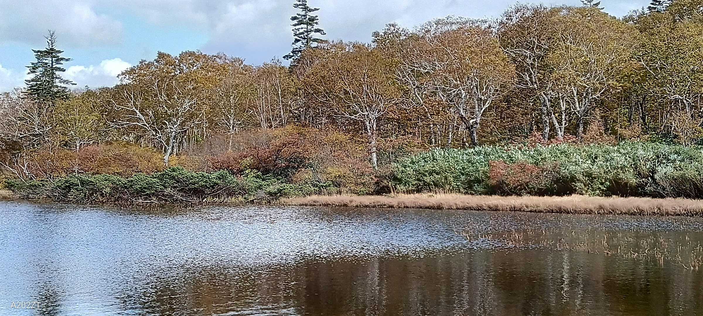 神仙沼周回｜整備された木道で楽しむ湖沼と湿原の楽園の写真