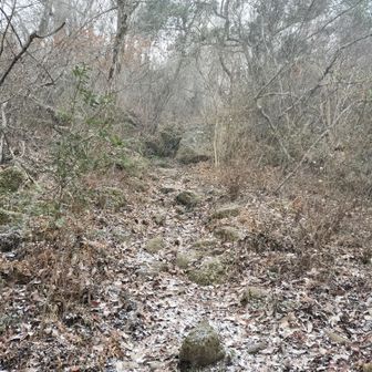 写真で見るよりかなり雪が降っています😅