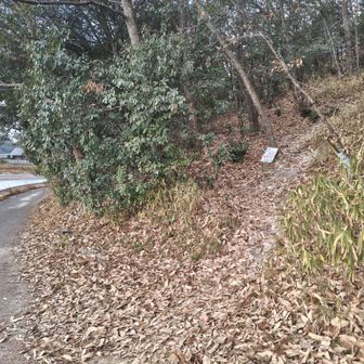 日山の南登山口より出発