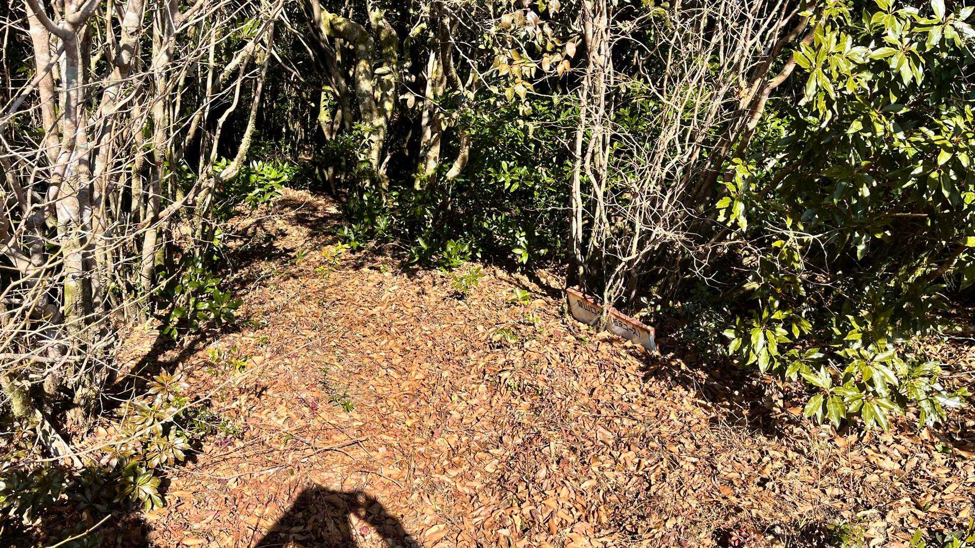 下山は板床コース方面へ向かってケヤキ林コースへ降ります🚶🏻