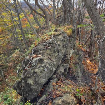 大きな岩が浮いて左へ落ちそう
手で押したけど、動くもんじゃなかった