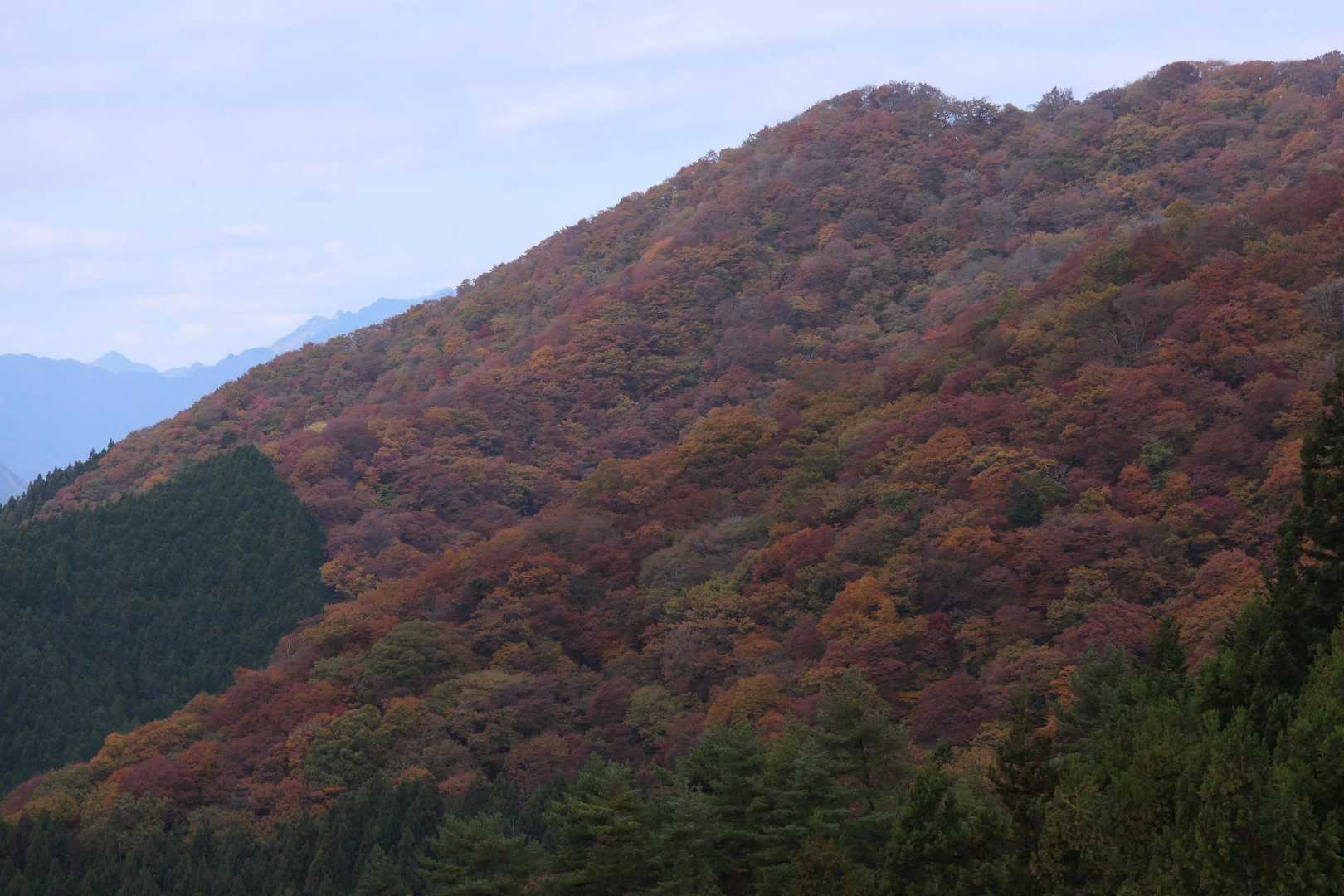 大持山方面の山肌