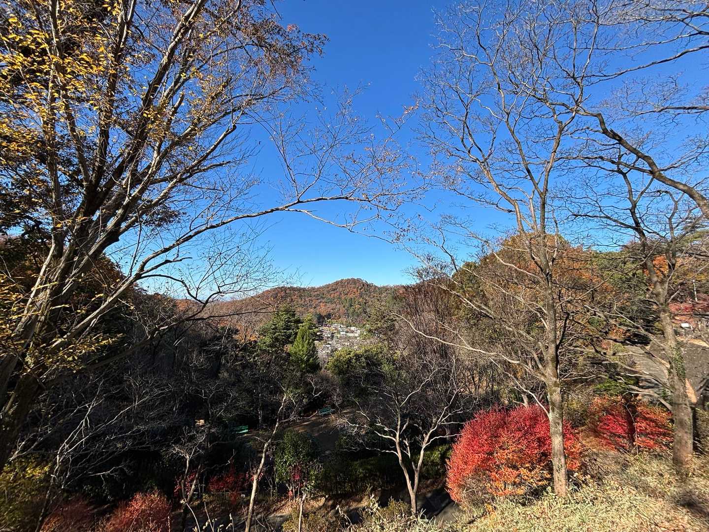 気持ちいい登山道を楽しく歩くことができました