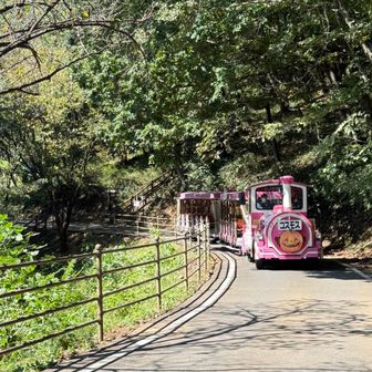 フラワートレイン「コスモス号」とすれ違いました😊

誰も乗車してませんでした😅