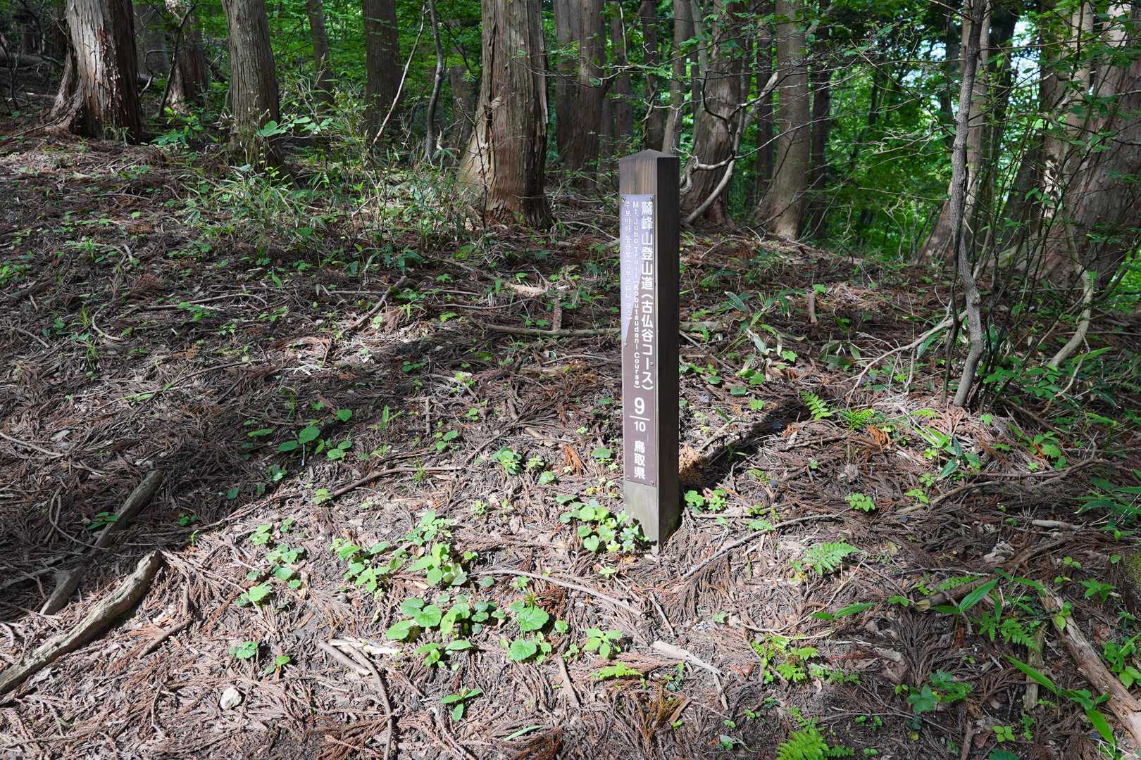 ホントここまでキツかった
登りながら思ってたのは、下山は快適に降りれるぞって事