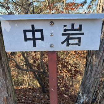 登ったら中岩でした