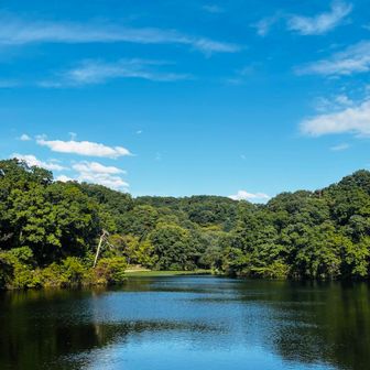 水鏡風