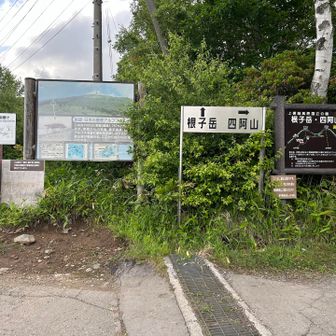 ここからスタート