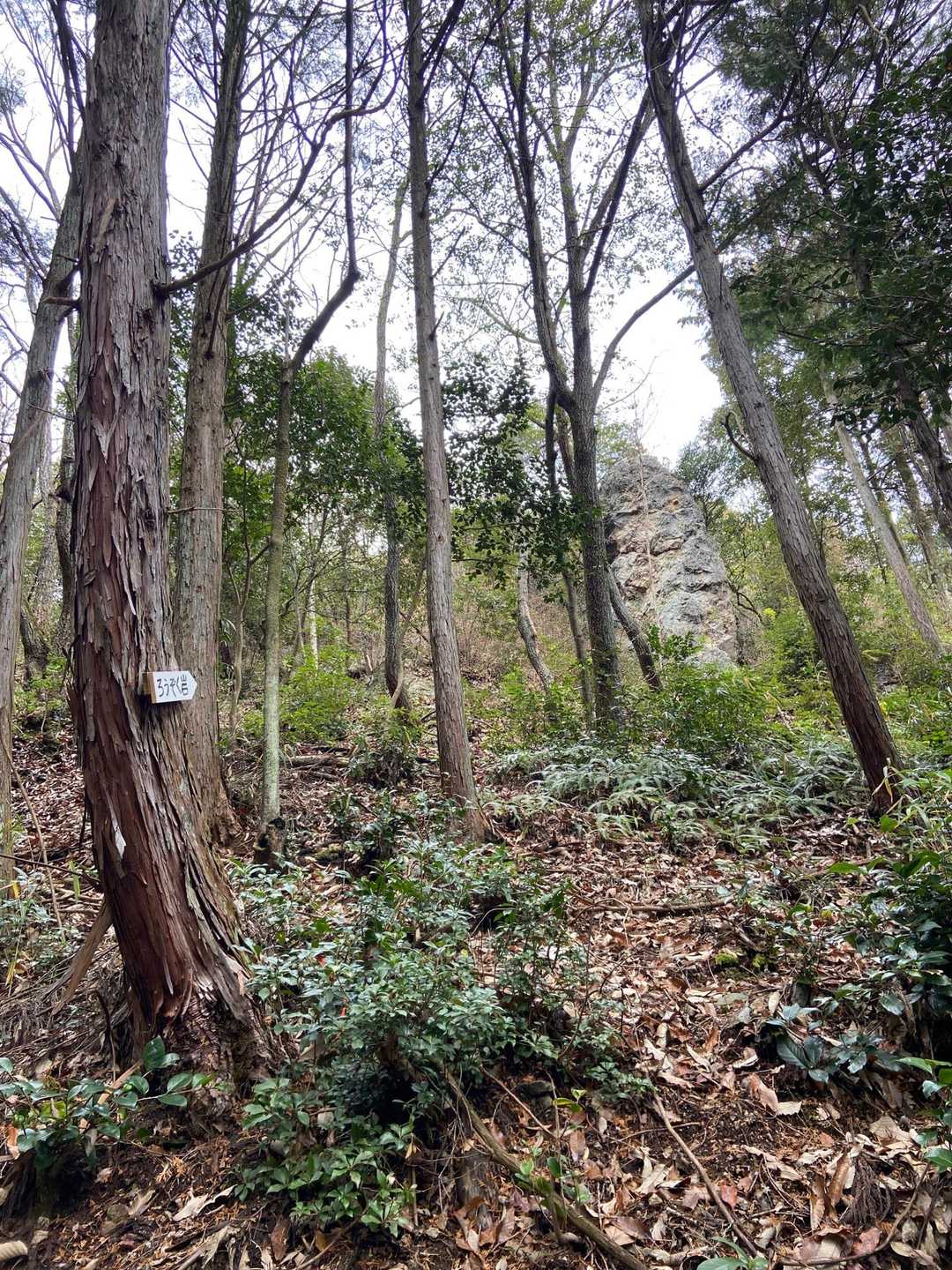 奥の岩がろうそく岩かな？🪨