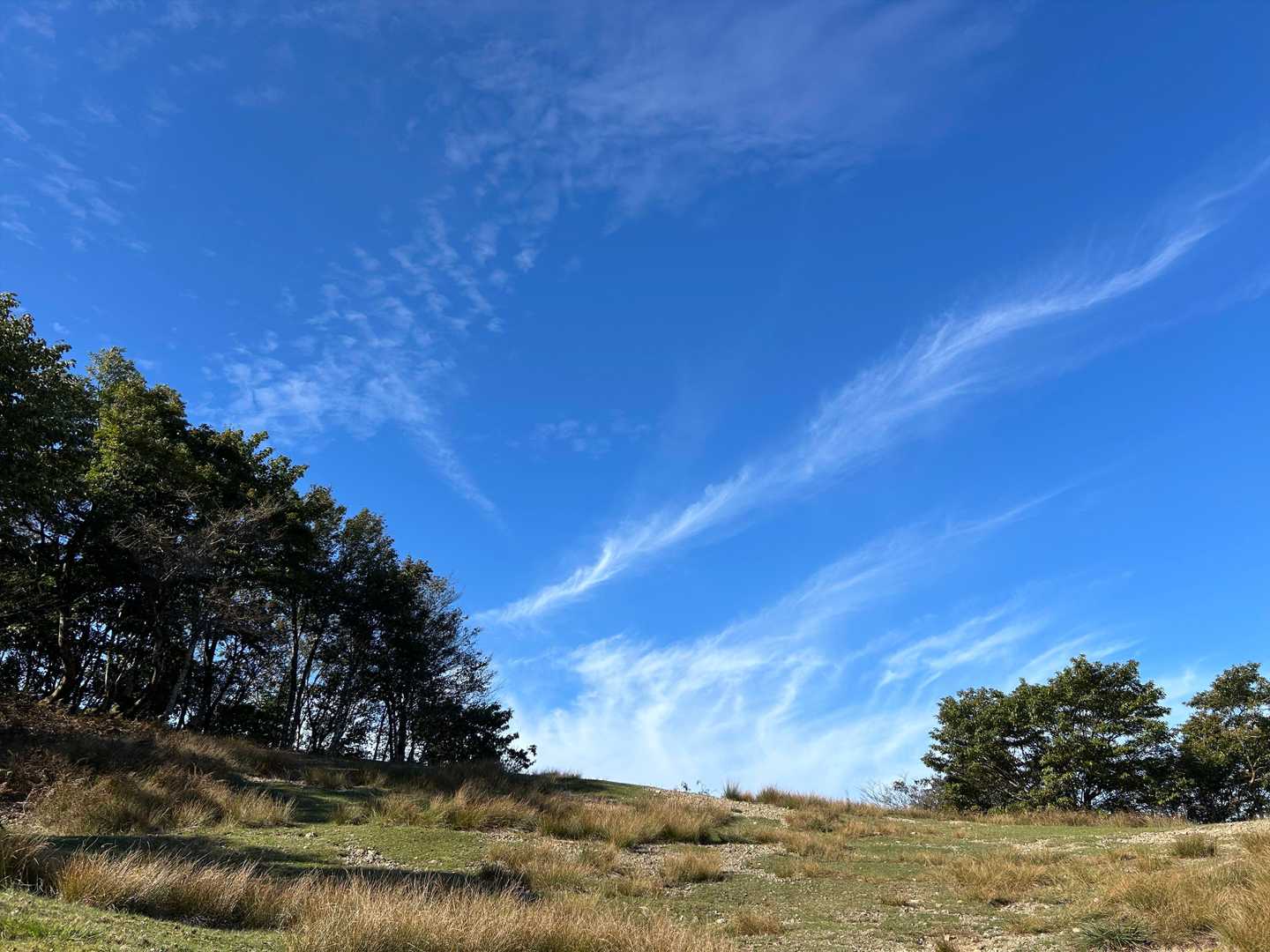登山口付近から見上げると、ここも美しい秋の空だった。