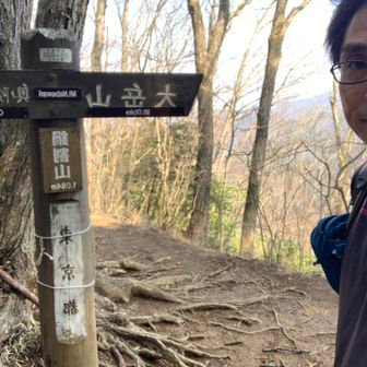 鍋割山。うどんはありません。
人も殆どいませんでした。