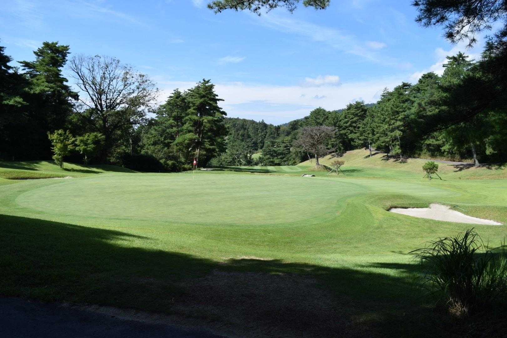 きれいなグリーン⛳️