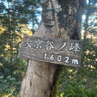 大京谷ノ峰の標識は一転、渋い...