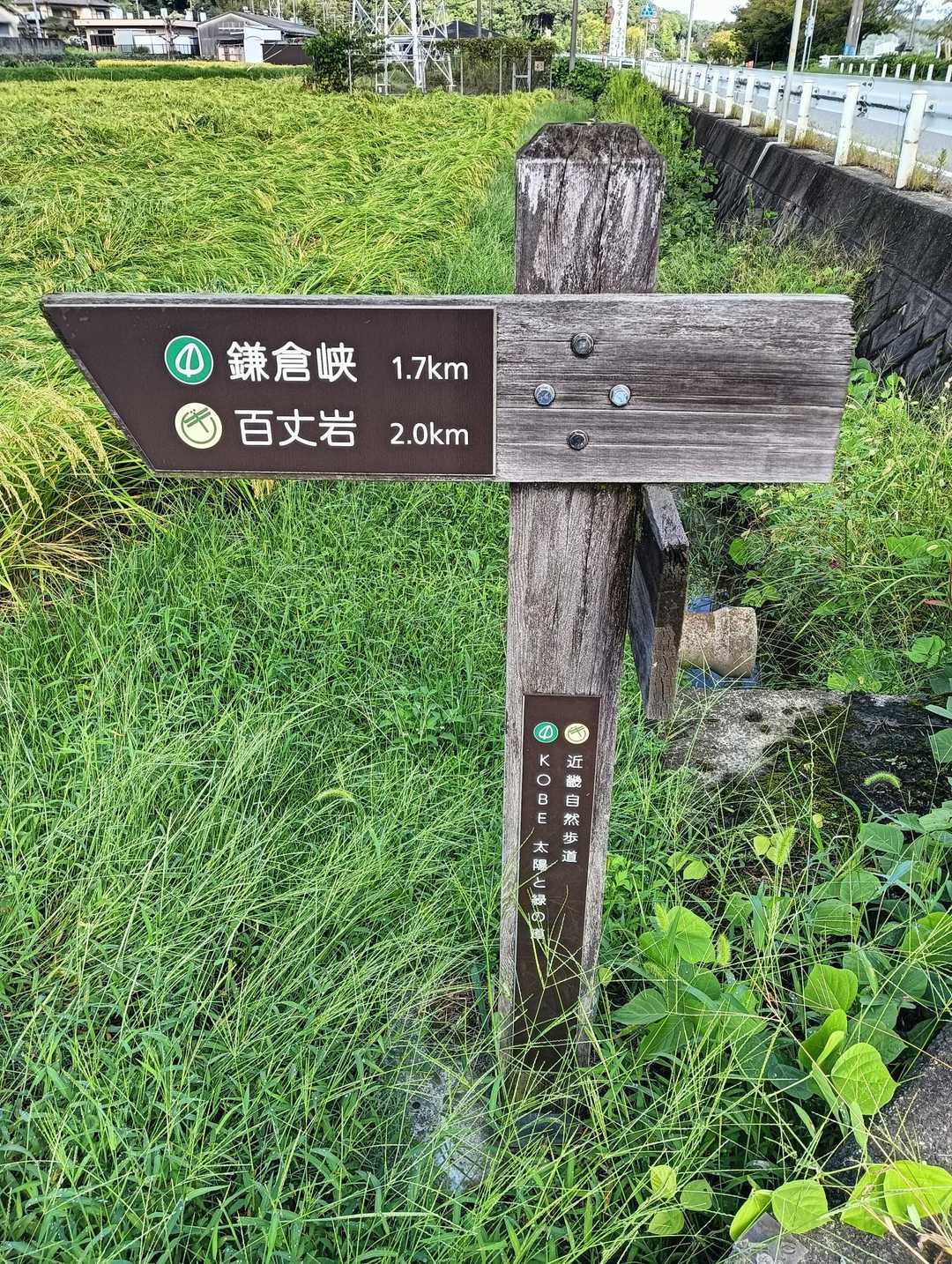 百丈岩 往復コースの写真