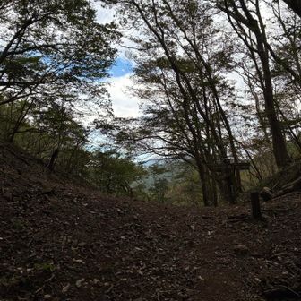 旧正丸峠