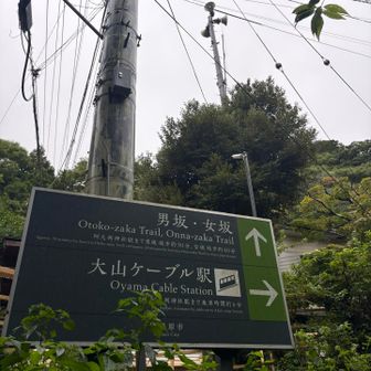 高尾山方式