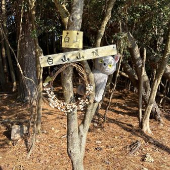 やっと着いたよー🙌
ここにも可愛らしい手作りリース😊