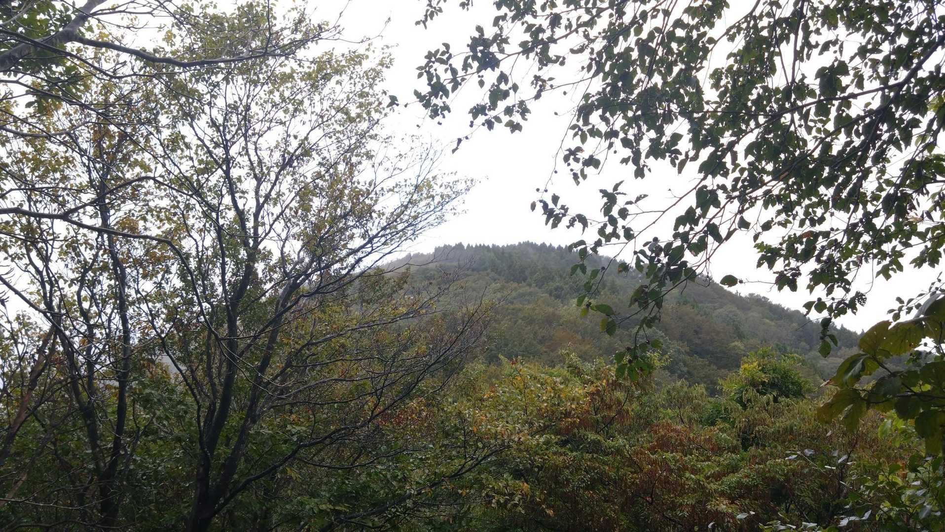 【縦】日本国（旧小俣小学校前登山口・蔵王口登山口）<蛇逃峠>の写真