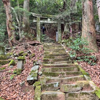 初めて登山者とご対面👀
これからの鬼の石段に気持ちが楽になれたー✌️