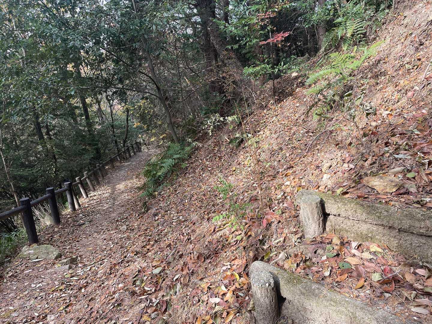 歩きやすい🚶