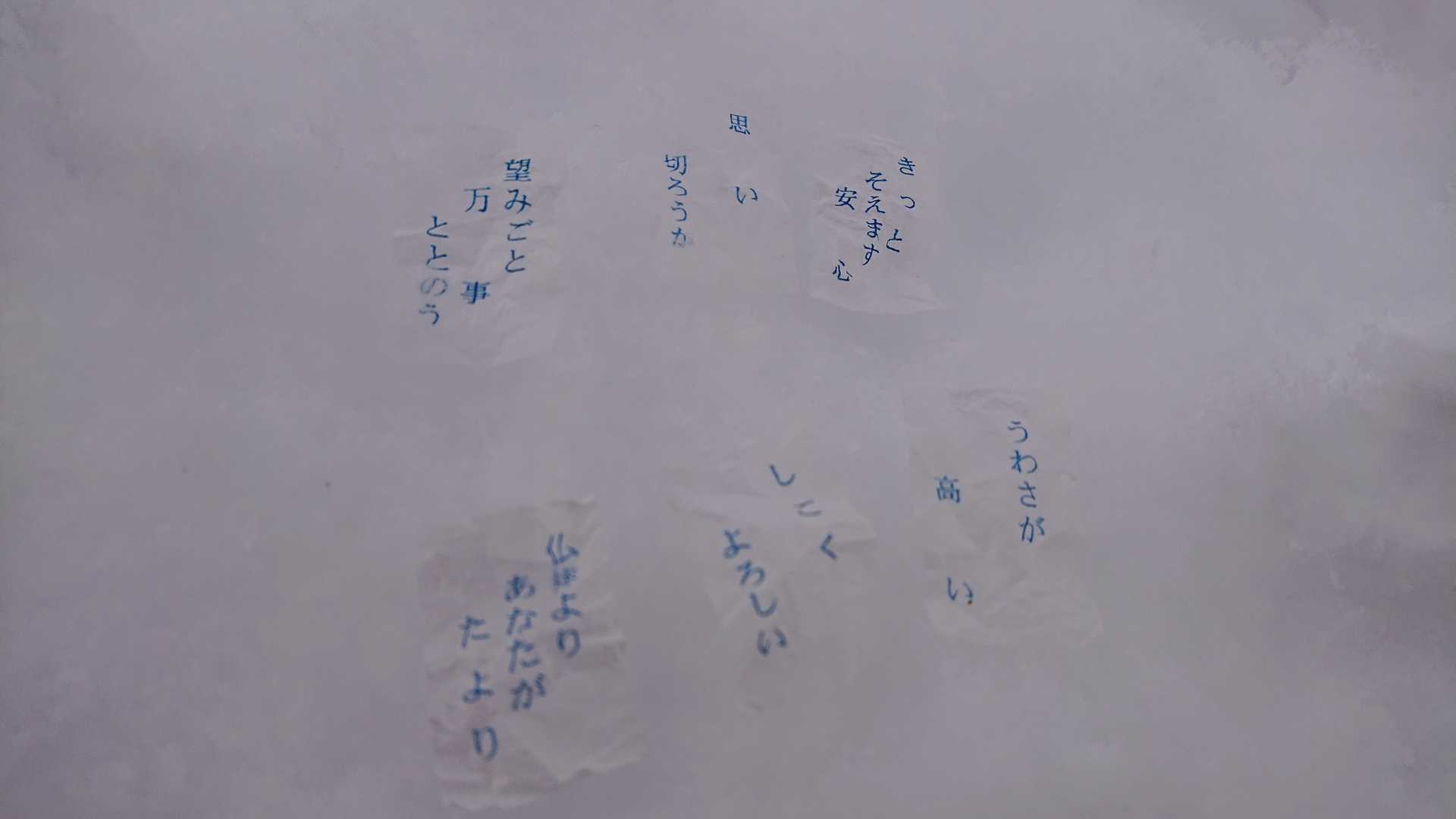 下:ゆり→「仏様よりあなたがたより」がお正月にも出たとか。今年はゆり仏を頼っていいそうです😊
上:わたし→「思い切ろうか」「望みごと万事ととのう」？！そーかー、やっぱり今年がんばっちゃうかな😳むすこ、たのむよー