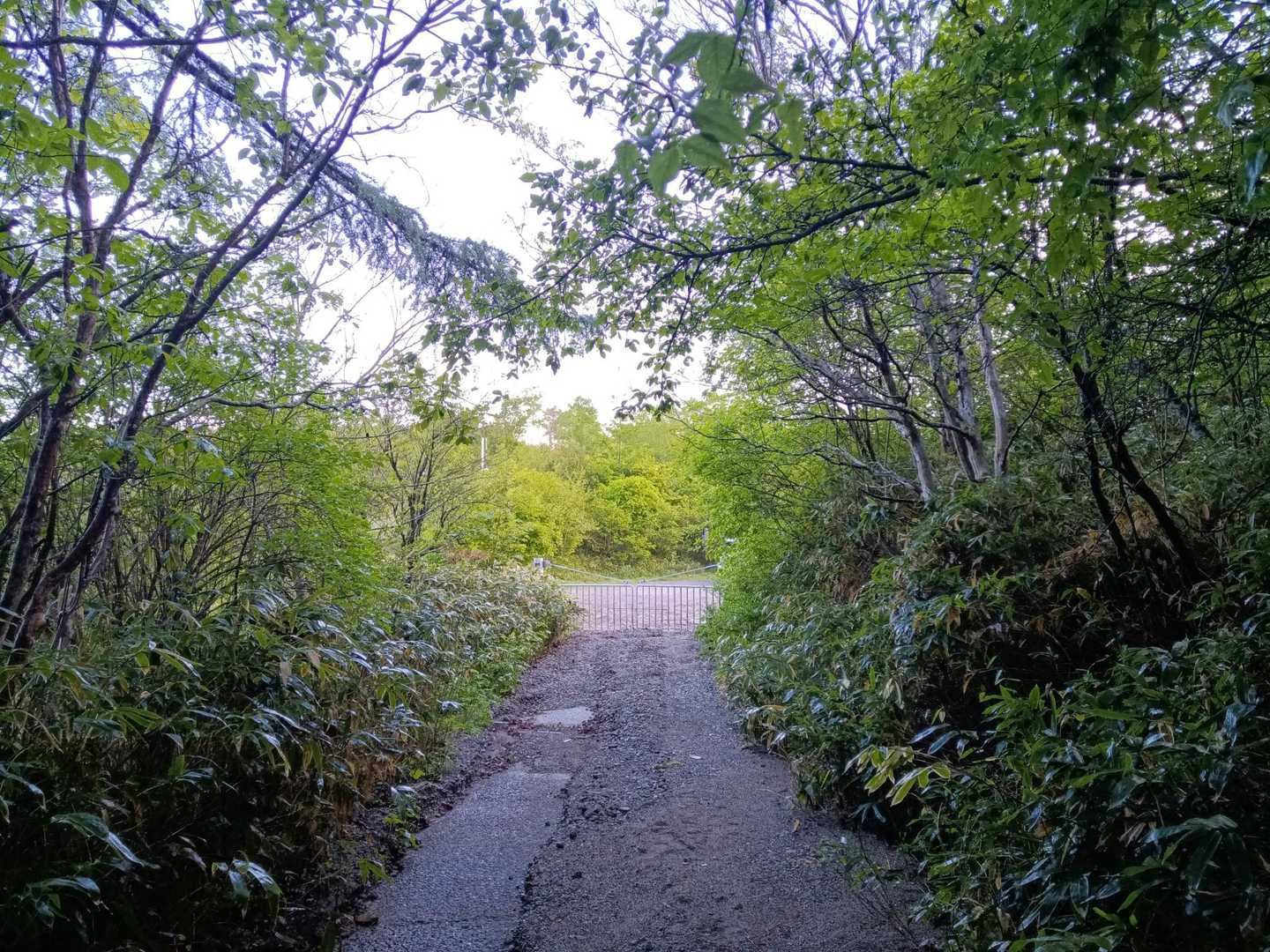 お疲れ様〜！
次へ続く🏃