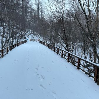 最後の橋を渡ってゴール