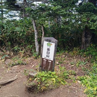 茶臼山
眺望なし