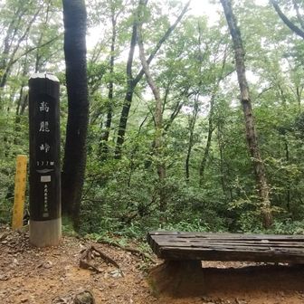 元のルートへ戻って高麗峠