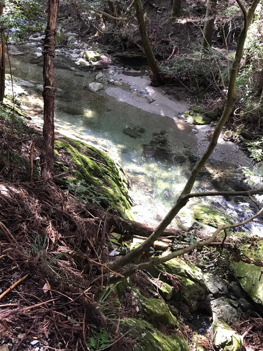 林道沿いの阿多古川。いつもきれいです。