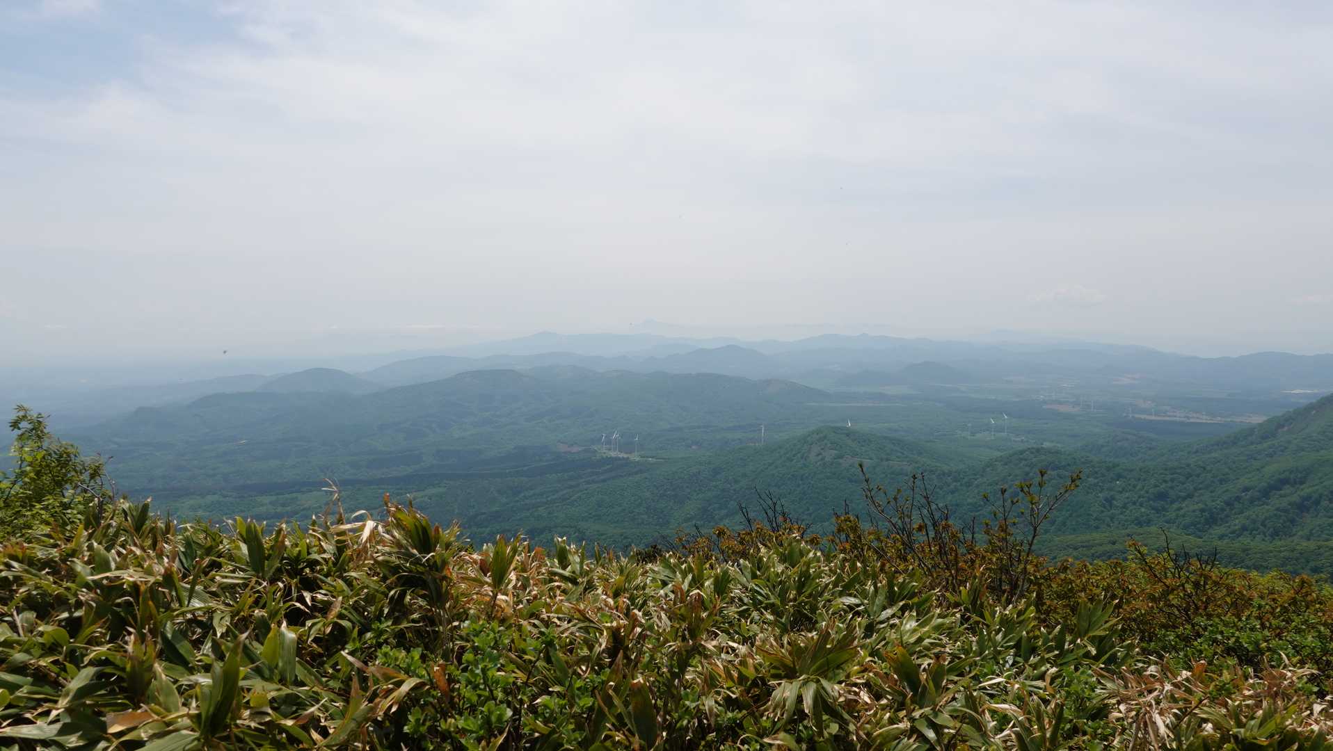大駒ヶ岳山頂からの眺望
中央遠くに岩手山
