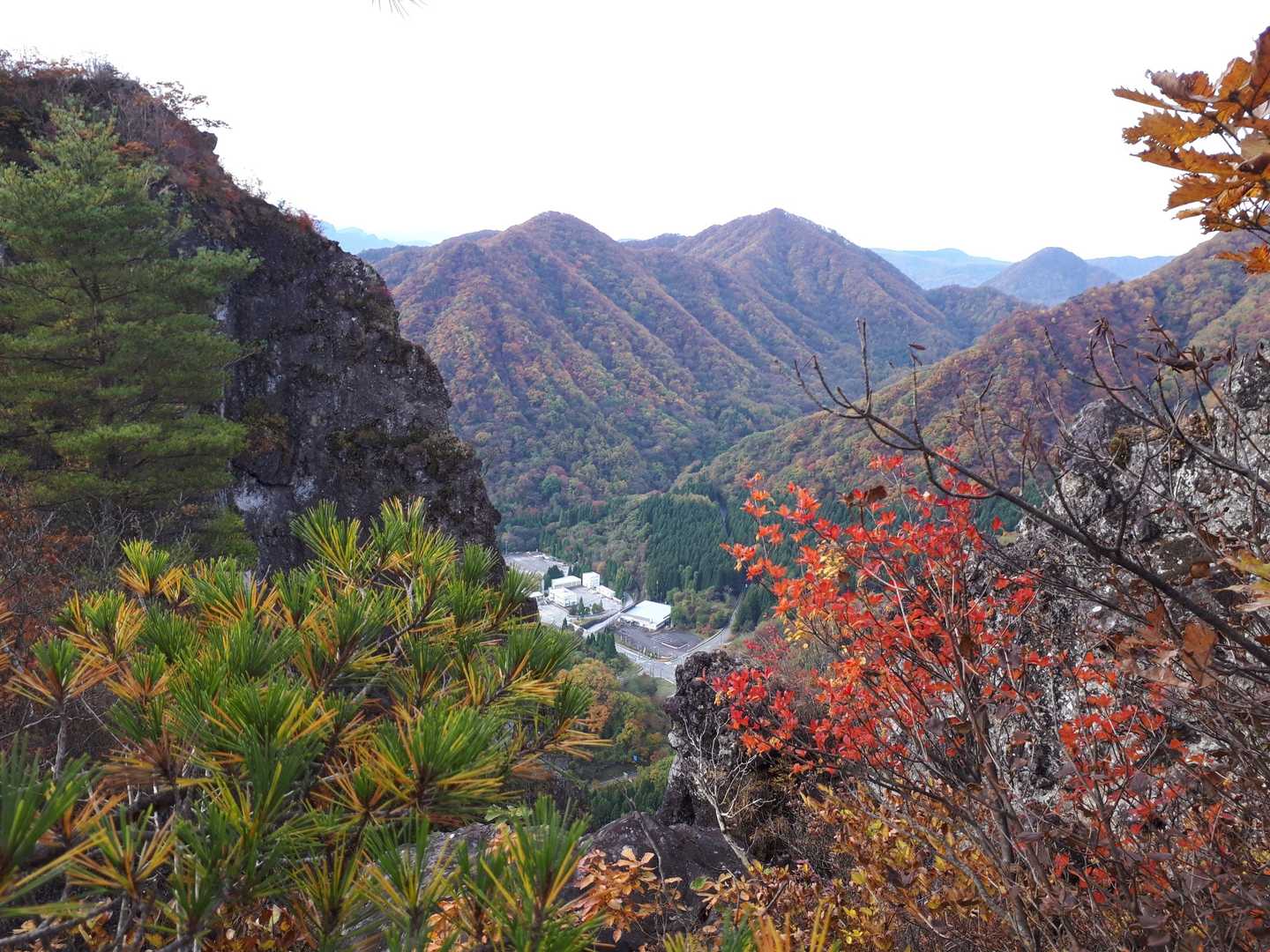 東登山口-コル-高岩 往復コースの写真