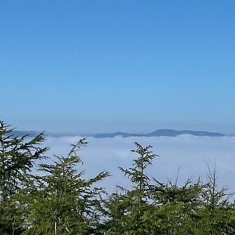 雲海☁️