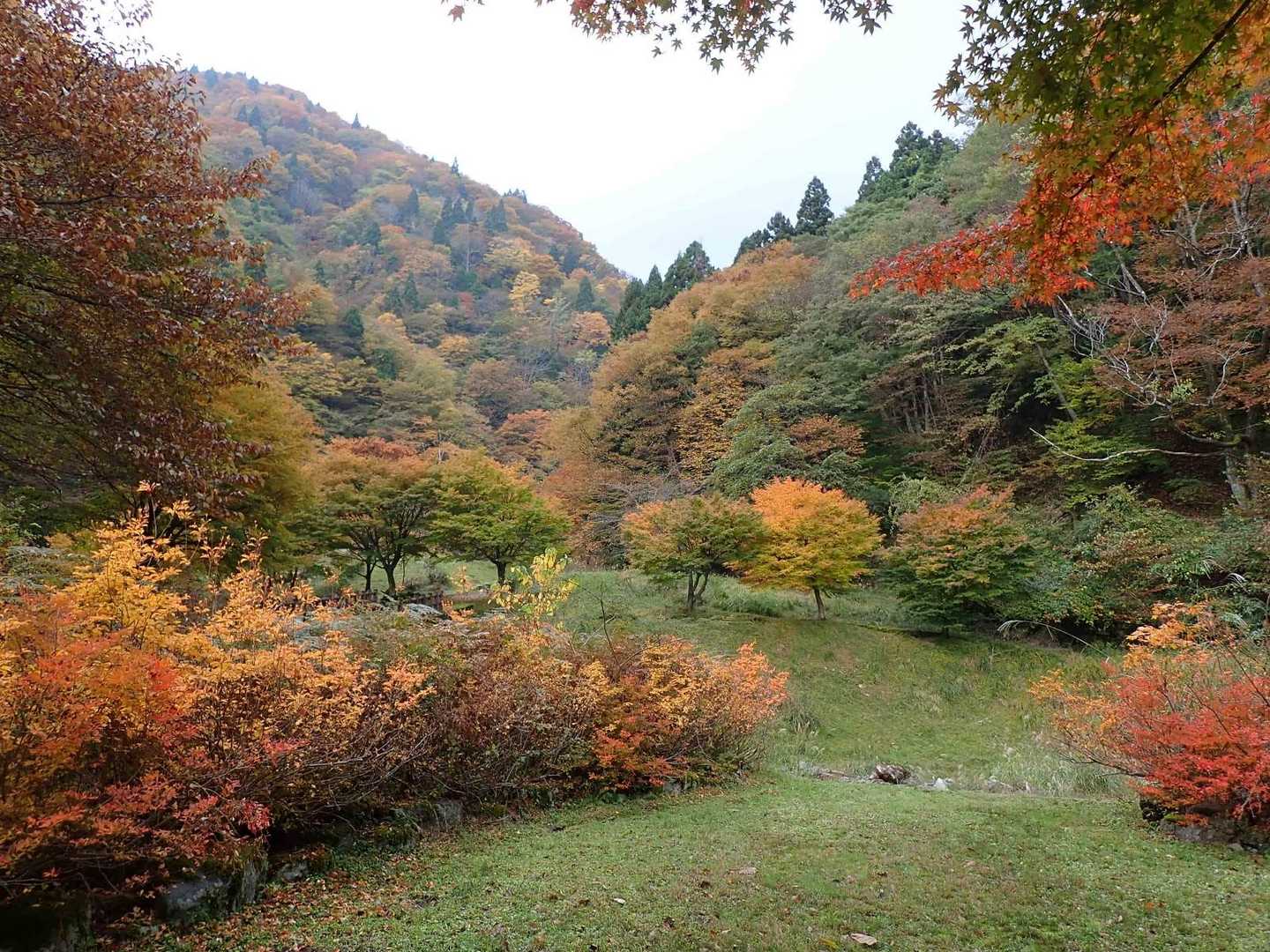 登山口周辺も見事に紅葉しています🍁