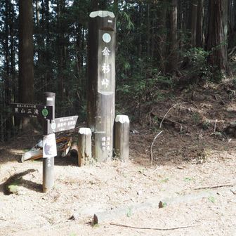 ここが「傘杉峠」です。