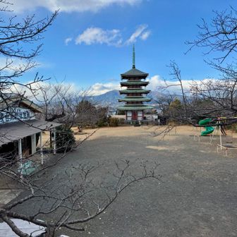 公園と五重の塔。奥に富士山があるけど雲を被ってしまった。
車に乗って宿に向かいます。