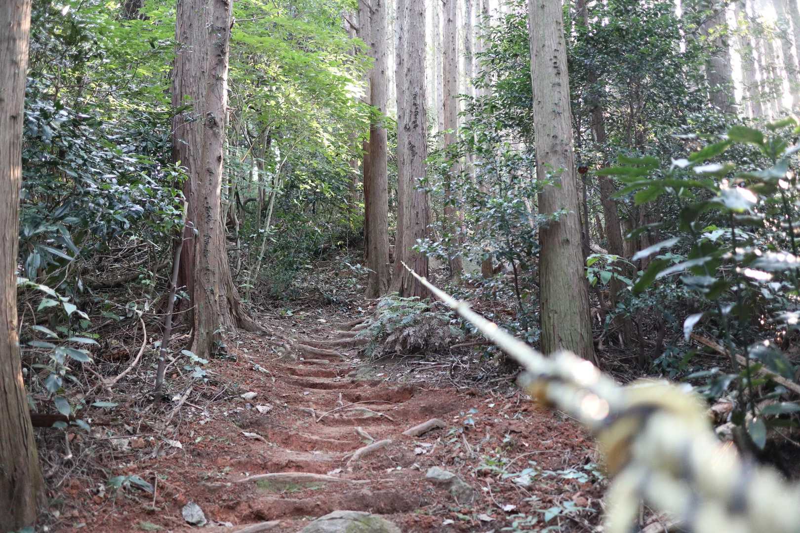 斜度が上がります