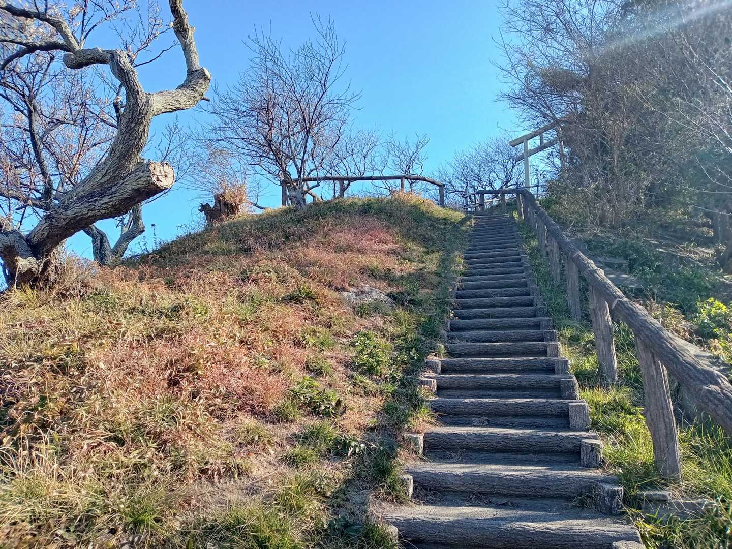 葉山教会登山口-仙元山-観音塚-矢落山-田浦駅 縦走コースの写真