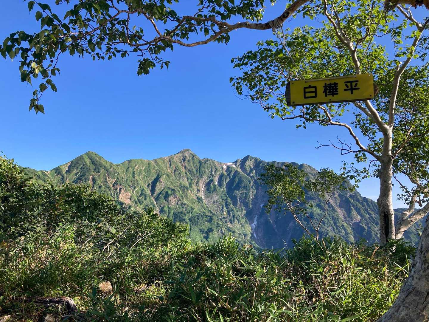 白樺平から布引山に鹿島槍ヶ岳