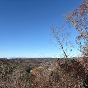 綺麗に見える🤩